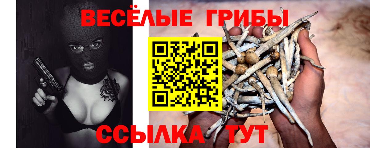 Псилоцибиновые грибы Magic Shrooms  сколько стоит  Семёнов  Вход с VPN 
